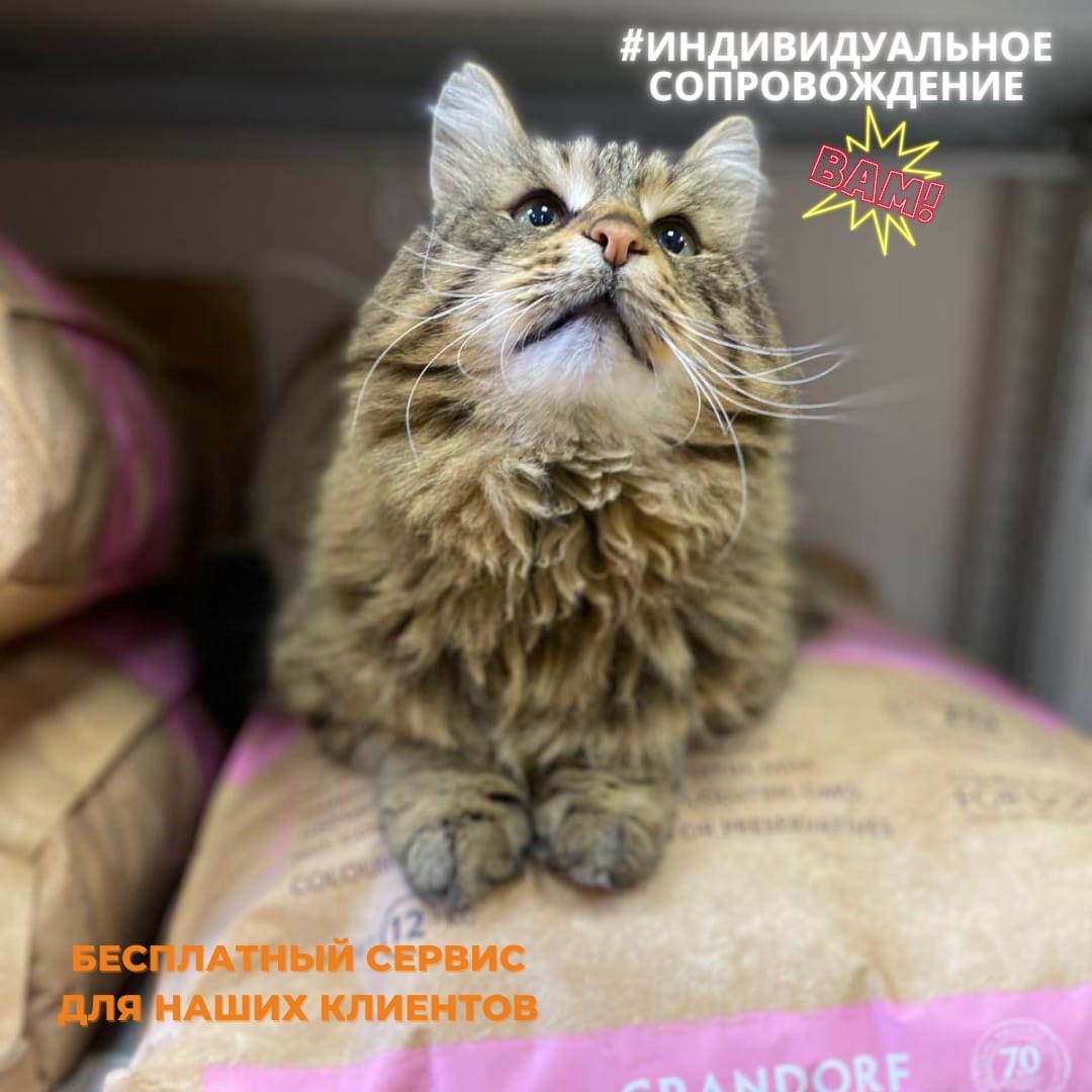 Индивидуальное сопровождение для наших клиентов!