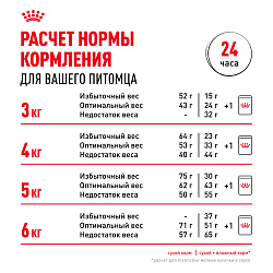 Royal Canin (Роял Канин) Savour Protein Exigent Корм сухой для привередливых взрослых кошек 2 кг