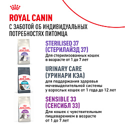 Royal Canin (Роял Канин) Fit 32 (Фит 32) Корм сухой для взрослых умеренно активных кошек 2 кг