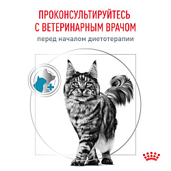 Royal Canin (Роял Канин) Гипоаллердженик Корм сухой для взрослых кошек при пищевой аллергии 2 кг
