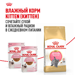 Royal Canin (Роял Канин) Киттен корм сухой для котят британская короткошерстная 400 г