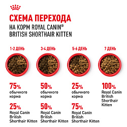 Royal Canin (Роял Канин) Киттен корм сухой для котят британская короткошерстная 400 г
