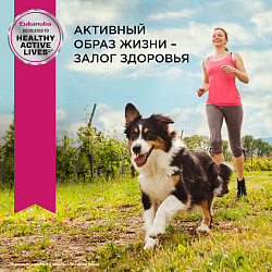 Корм для взрослых собак мелких пород Eukanuba Adult Small Breed 1+ years сухой, 3 кг