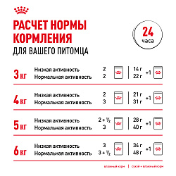 Royal Canin (Роял Канин) Digestive Care Корм для кошек для здоровья пищеварительной системы 400 г