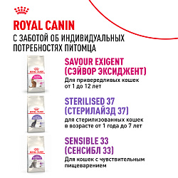 Royal Canin (Роял Канин) Savour Protein Exigent Корм сухой для привередливых взрослых кошек 2 кг
