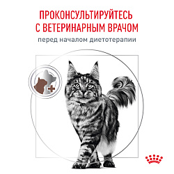 Royal Canin (Роял Канин) Гепатик Корм сухой для кошек для поддержания функции печени 350 г