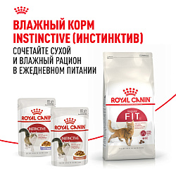 Royal Canin (Роял Канин) Fit 32 (Фит 32) Корм сухой для взрослых умеренно активных кошек 2 кг